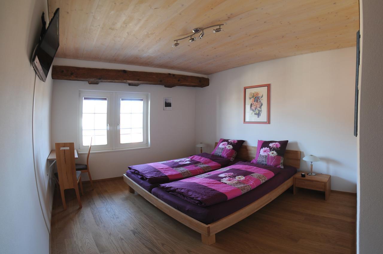 Bed And Breakfast Wegmann Andelfingen Екстериор снимка