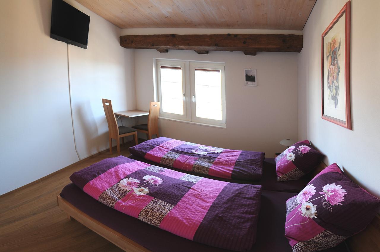 Bed And Breakfast Wegmann Andelfingen Екстериор снимка
