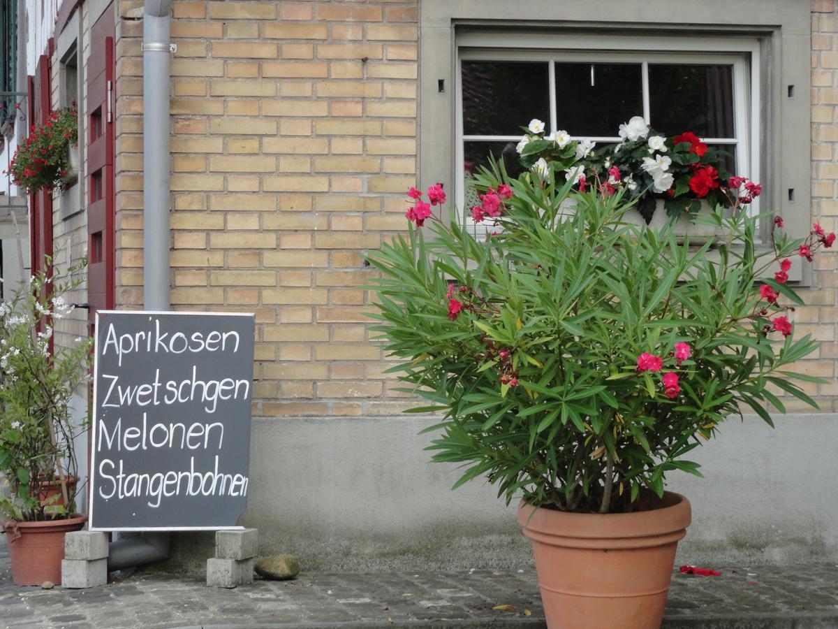 Bed And Breakfast Wegmann Andelfingen Екстериор снимка
