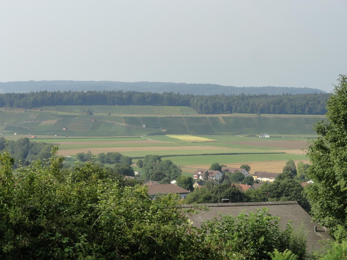 Bed And Breakfast Wegmann Andelfingen Екстериор снимка